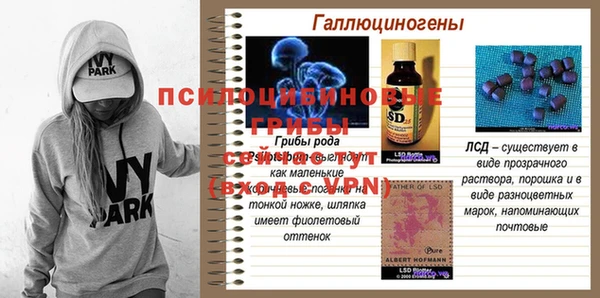 эйфоретик Аркадак