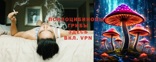a pvp Арсеньев